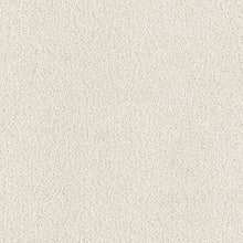 Load image into Gallery viewer, Impressive Selection|Winter Wind|2Y99-568 - Sample