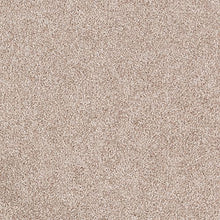 Load image into Gallery viewer, Exceptional Result|Melted Caramel|2U53-519 - Sample
