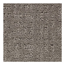 Load image into Gallery viewer, Modern Brilliance|Griffin|BP49B-513 - Sample