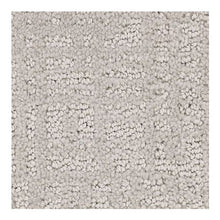 Load image into Gallery viewer, Sleek Luxury|Argos|2V35-502 - Sample