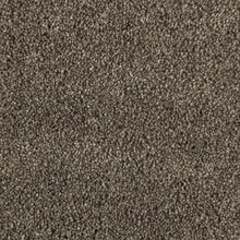 Load image into Gallery viewer, Distinct Beauty III|Native Soil|2W55-830 - Sample