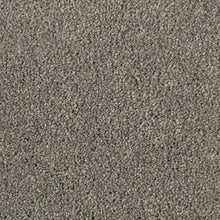 Load image into Gallery viewer, Highgate III|Meteorite|2W61-920 - Sample