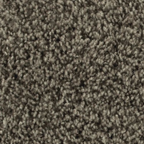 Artistic Allure|Virginia Mist|2V22-825 - Sample