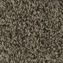 Load image into Gallery viewer, Artistic Allure|Venetian Gold|2V22-832 - Sample