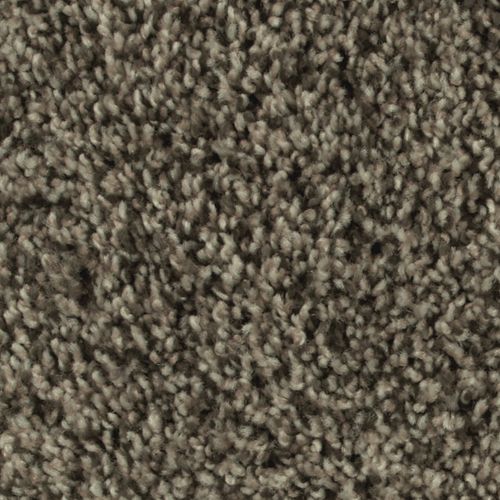 Artistic Allure|Venetian Gold|2V22-832 - Sample