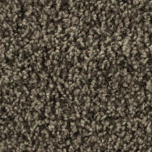 Load image into Gallery viewer, Artistic Allure|Autumn Leaf|2V22-838 - Sample