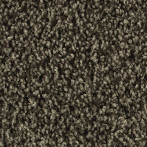 Artistic Allure|Imperial Brown|2V22-865 - Sample