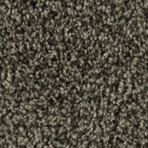Artistic Allure|Hawthorn|2V22-868 - Sample