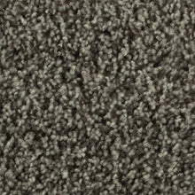 Load image into Gallery viewer, Artistic Allure|Amazon Star|2V22-939 - Sample