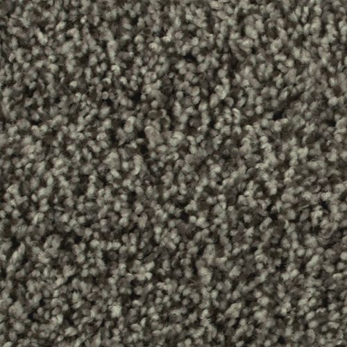 Artistic Allure|Amazon Star|2V22-939 - Sample