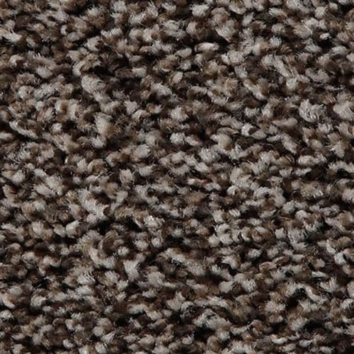Artistic Retreat|Imperial Brown|2V23-865 - Sample