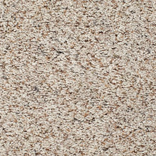 Load image into Gallery viewer, Advanced View I|Alpine Lace|2W29-503 - Sample