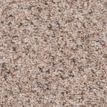 Load image into Gallery viewer, Advanced View II|Magnolia Blossom|2W30-504 - Sample