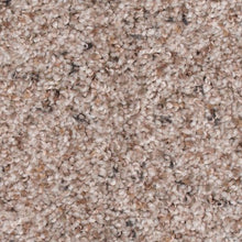 Load image into Gallery viewer, Advanced View II|Homespun Linen|2W30-508 - Sample