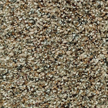 Load image into Gallery viewer, Design Elements II|Birchwood|2W38-504 - Sample