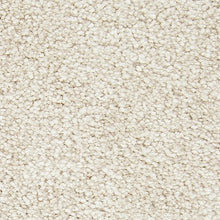 Load image into Gallery viewer, Attractive Fashion|Haven|3A17-551 - Sample