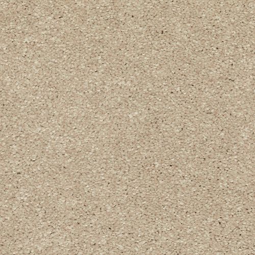 Attractive Fashion|Balsam Beige|3A17-526 - Sample