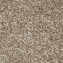 Load image into Gallery viewer, Appealing Glamor|Montego|3A13-548 - Sample