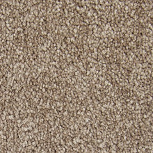 Load image into Gallery viewer, Appealing Glamor|Timberlane|3A13-560 - Sample