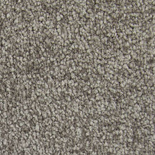 Load image into Gallery viewer, Appealing Glamor|Weathered Plank|3A13-558 - Sample