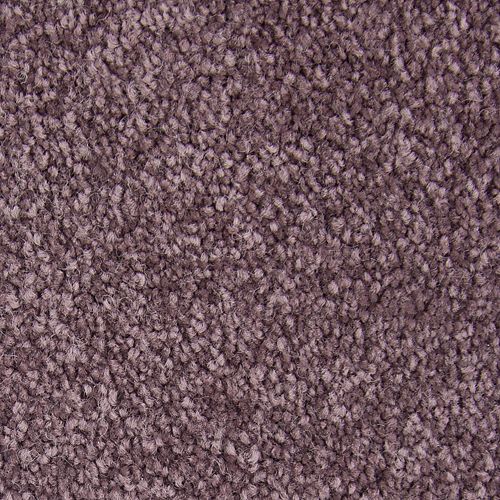 Alluring Perspective|Velvet Lining|3A22-517 - Sample