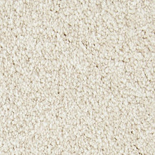 Load image into Gallery viewer, Alluring Perspective|Balsam Beige|3A22-526 - Sample