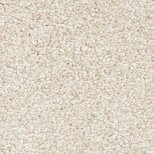 Load image into Gallery viewer, Alluring Perspective|Fresco Cream|3A22-537 - Sample