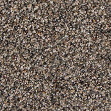 Load image into Gallery viewer, Admirable Harmony|Raleigh|3B45-514 - Sample