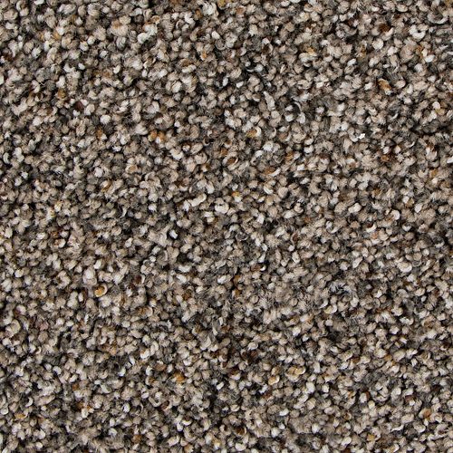 Admirable Harmony|Raleigh|3B45-514 - Sample