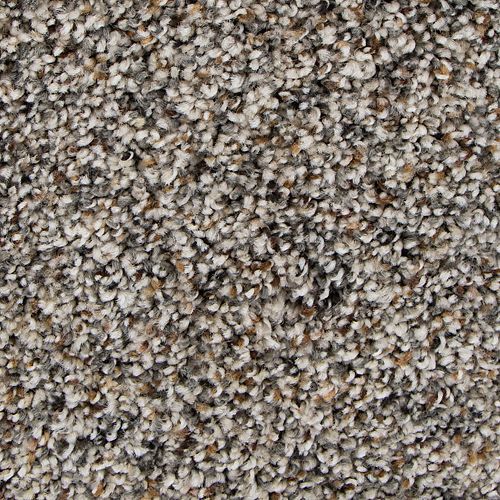 Admirable Harmony|Foxtail|3B45-509 - Sample