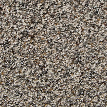 Load image into Gallery viewer, Authentic Match|Elmwood|2Y94-505 - Sample