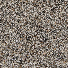 Load image into Gallery viewer, Authentic Match|Foxtail|2Y94-509 - Sample