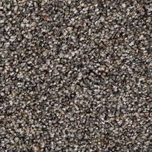 Load image into Gallery viewer, Authentic Match|Urban|2Y94-513 - Sample