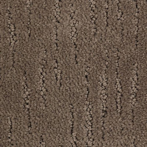 Abiding Notion|Nutmeg Swirl|2X16-850 - Sample
