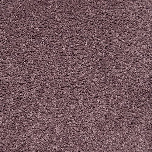 Azalea Hideaway|Winter Amethyst|2W94-521 - Sample