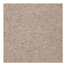 Load image into Gallery viewer, Peaceful Approach|Soapstone|BP47B-517 - Sample