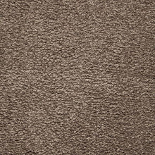 Load image into Gallery viewer, Azalea Hideaway|Steeplechase|2W94-536 - Sample