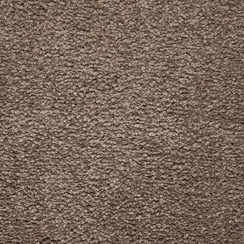 Azalea Hideaway|Steeplechase|2W94-536 - Sample