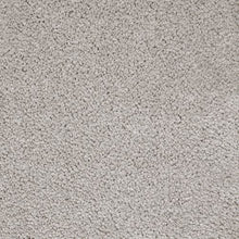 Load image into Gallery viewer, Azalea Hideaway|Classic Silver|2W94-504 - Sample