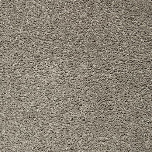 Azalea Hideaway|Urban Putty|2W94-525 - Sample