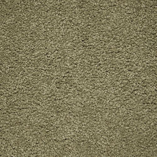 Awaited Delight|Valley Fog|2W89-522 - Sample