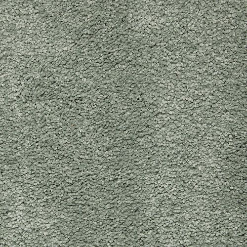 Awaited Delight|Mystic Jade|2W89-502 - Sample