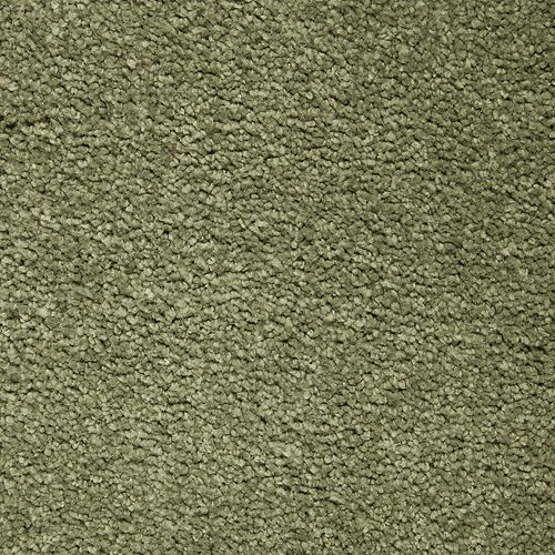 Awaited Delight|Hunter's Glen|2W89-532 - Sample