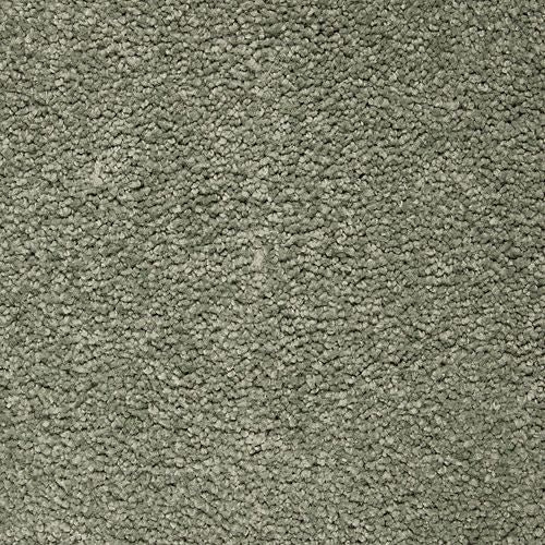 Awaited Delight|Spring Spirits|2W89-512 - Sample