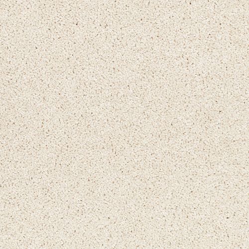 Awaited Delight|Romano|2W89-509 - Sample