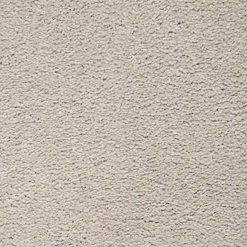 Awaited Delight|Artisan Hue|2W89-507 - Sample