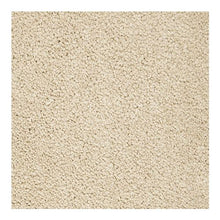 Load image into Gallery viewer, Gentle Approach|Frosted Almond|2X90-519 - Sample