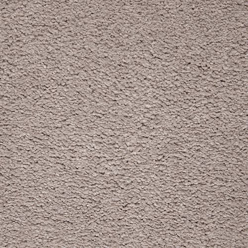 Awaited Delight|Perfect Taupe|2W89-506 - Sample