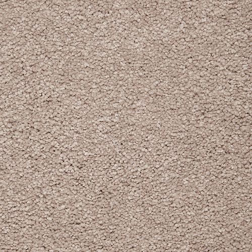 Awaited Delight|Soapstone|2W89-517 - Sample