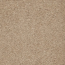 Load image into Gallery viewer, Awaited Delight|Belvedere|2W89-518 - Sample